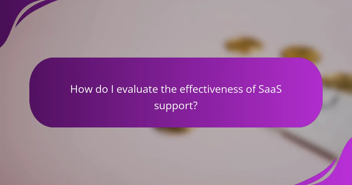 How do I evaluate the effectiveness of SaaS support?