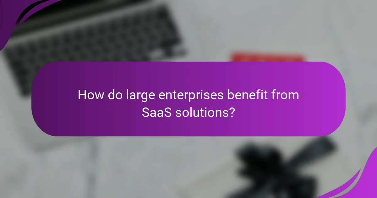 How do large enterprises benefit from SaaS solutions?