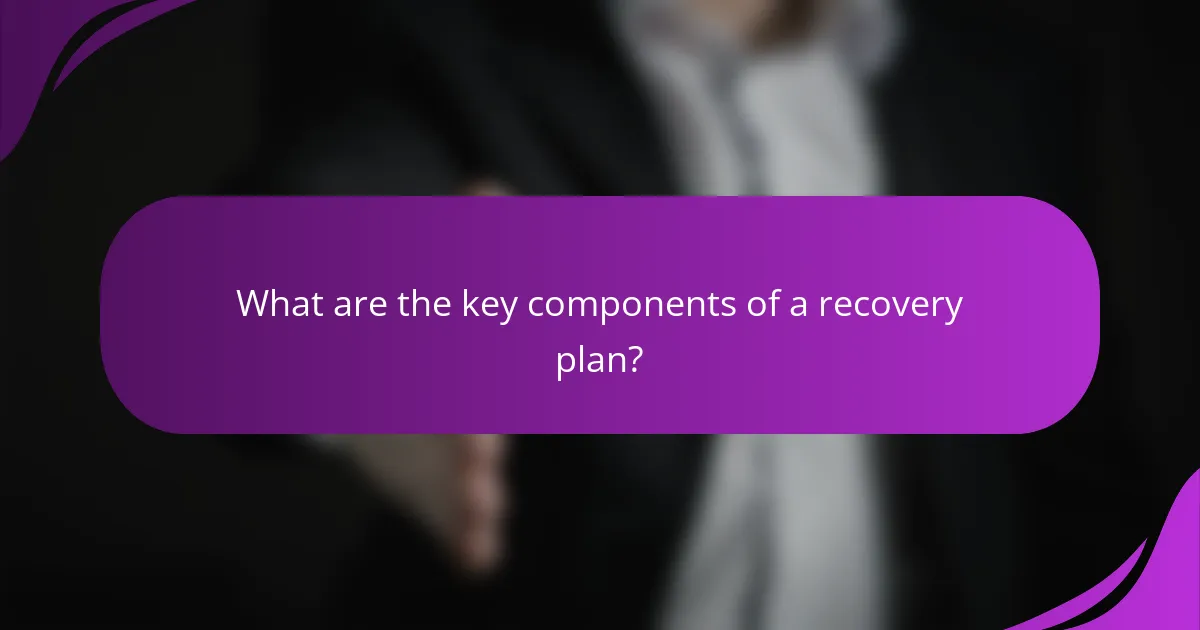 What are the key components of a recovery plan?